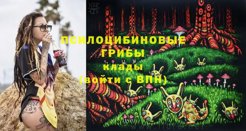 дарнет шоп  Зерноград  ссылка на мегу ссылка  Галлюциногенные грибы Magic Shrooms 